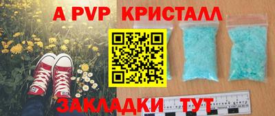 кокс Пугачёв